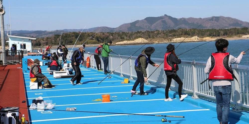 新地町海釣り公園紹介用イラスト（実景写真ではありません）