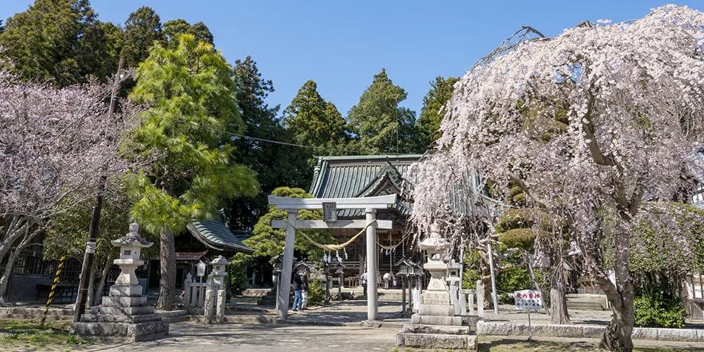相馬小高神社紹介用イラスト（実景写真ではありません）