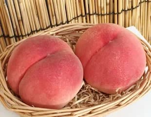 まどかの図版イメージ(品種写真ではありません)